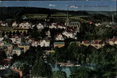 Ak Bad Elster im Vogtland, Blick von der Albertshöhe auf den Ort