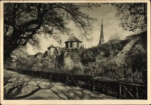 Ak Mühlhausen in Thüringen, am hohen Graben, Stadtmauer mit Türmen, Graben und Wall