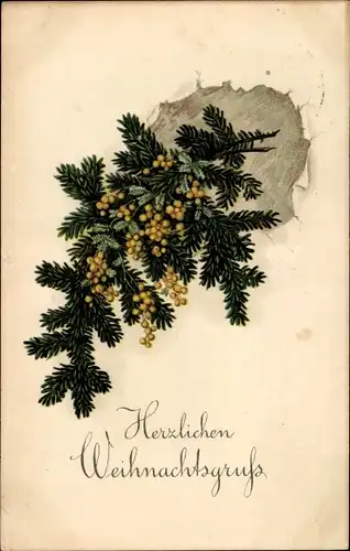 Ak Glückwunsch Weihnachten, Tannenzweig