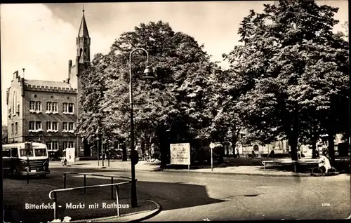 Ak Bitterfeld in Sachsen Anhalt, Markt mit Rathaus, Bus