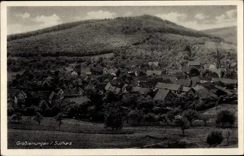 Ak Großleinungen Sangerhausen am Harz, Panorama vom Ort