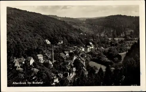 Ak Altenbrak Thale im Harz, Panorama