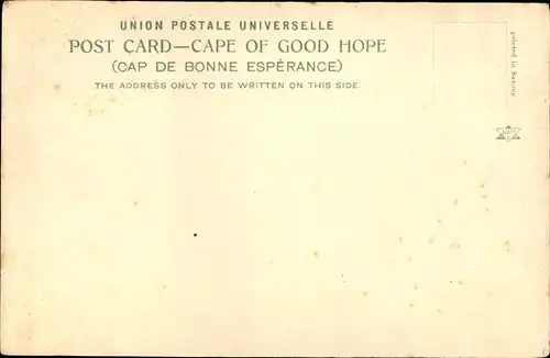 Ak Cape Town Kapstadt Südafrika, Kloof