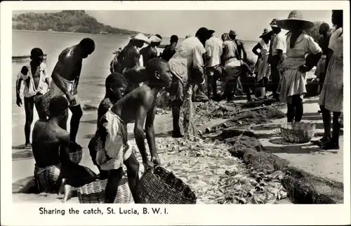 Ak Saint Lucia British West Indies Karibik, Sharing the catch, Fischer mit Fang am Strand