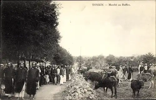 Ak Tonkin Vietnam, Marche au Buffles