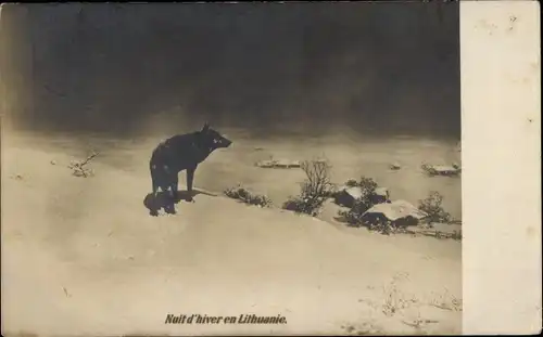 Ak Litauen, Nuit d'hiver, Wolf, Winterszene