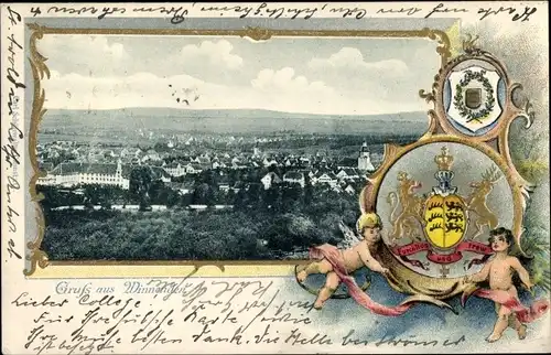 Wappen Ak Winnenden in Württemberg, Totalansicht der Ortschaft