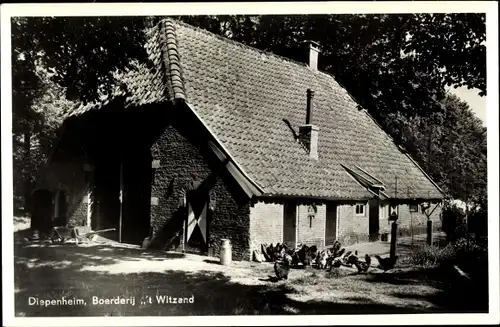 Ak Diepenheim Overijssel, Boerderij ´t Witzand, Hühner