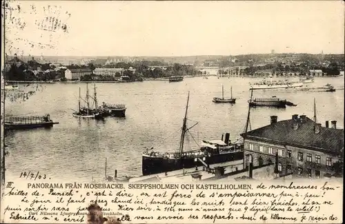 Ak Stockholm Schweden, Panorama fran Mosebacke, Skeppsholmen och Kastellholmen