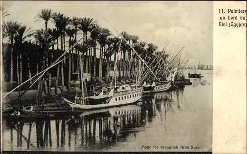 Ak Ägypten, Palm Trees on the banks of the Nile, Boat