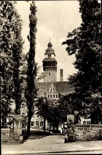 Ak Zeitz Burgenlandkreis, Rathausgarten mit Turm