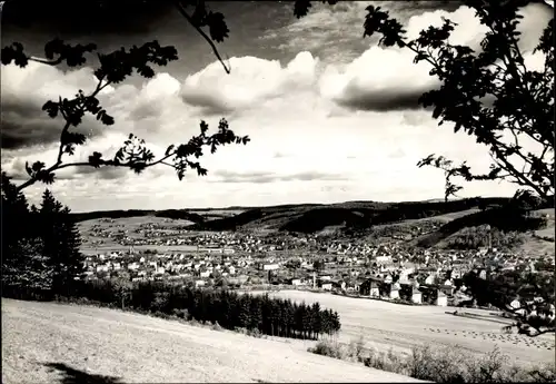 Ak Olbernhau im Erzgebirge Sachsen, Panorama