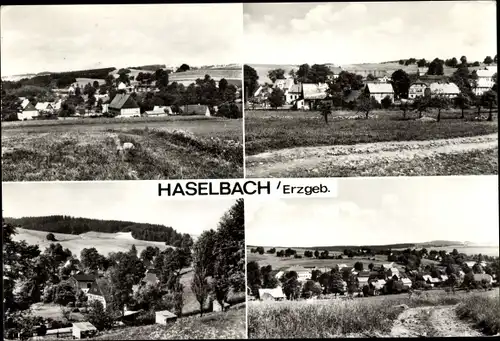 Ak Haselbach Olbernhau im Erzgebirge, Panorama