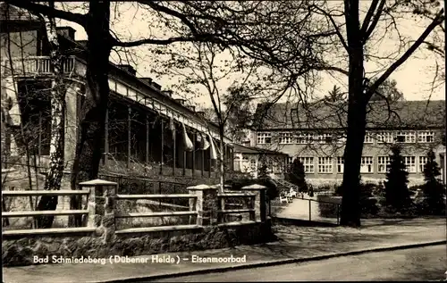 Ak Bad Schmiedeberg in der Dübener Heide, Straßenpartie, Eisenmoorbad