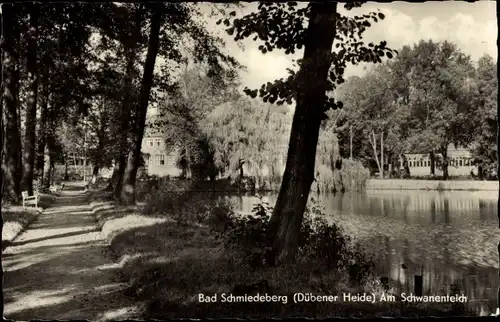 Ak Bad Schmiedeberg in der Dübener Heide, Am Schwanenteich