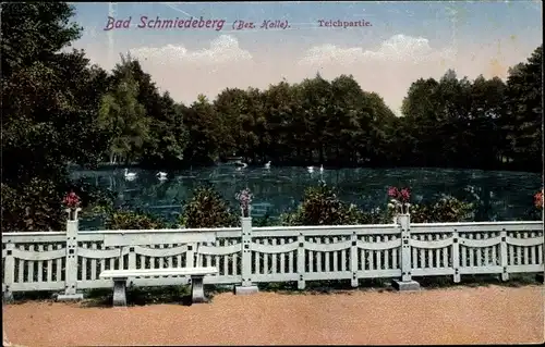 Ak Bad Schmiedeberg (Bezirk Halle) Dübener Heide, Teichpartie