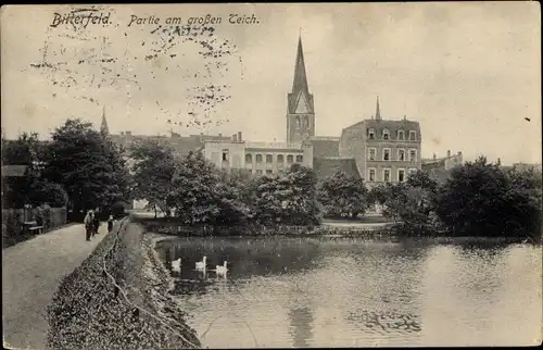 Ak Bitterfeld in Sachsen Anhalt, Partie am großen Teich