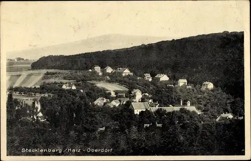 Ak Stecklenberg Thale im Harz, Oberdorf, Panorama