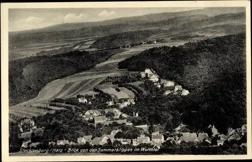 Ak Stecklenberg Thale im Harz, Blick von den Sommerklippen im Wurmtal