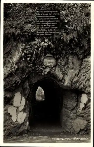 Ak Treseburg Thale im Harz, Wilhelmsblick