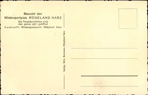 Ak Thale im Harz, Bodetal, Teufelsbrücke m. Bodekessel