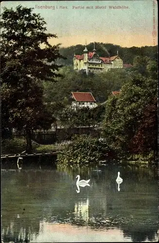 Ak Ilsenburg im Harz, Partie mit Hotel Waldhöhe, Schwäne