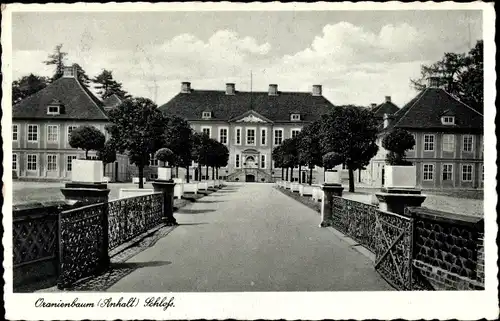 Ak Oranienbaum Wörlitz in Anhalt, Schloss