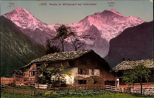 Ak Wilderswyl Wilderswil Kanton Bern Schweiz, Wohnhaus, Jungfrau, Mönch