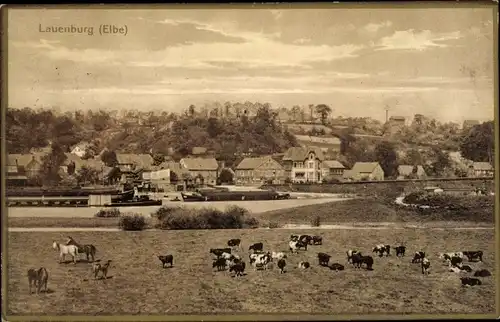 Ak Lauenburg an der Elbe, Totalansicht, Kühe