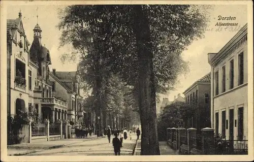 Ak Dorsten in Westfalen, Alleestraße