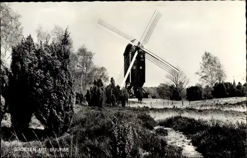 Ak Buurse Overijssel Niederlande, Windmühle, Molen
