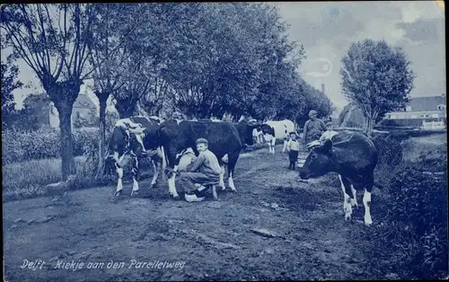Ak Delft Südholland Niederlande, Kühe werden gemolken