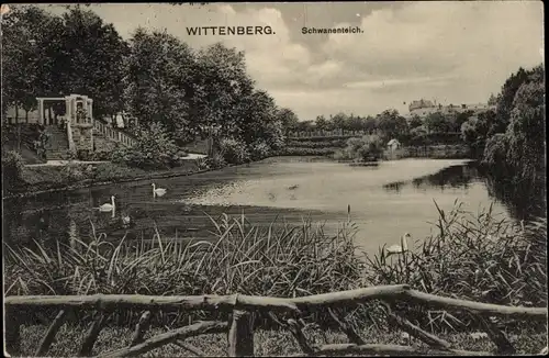 Ak Lutherstadt Wittenberg, Schwanenteich