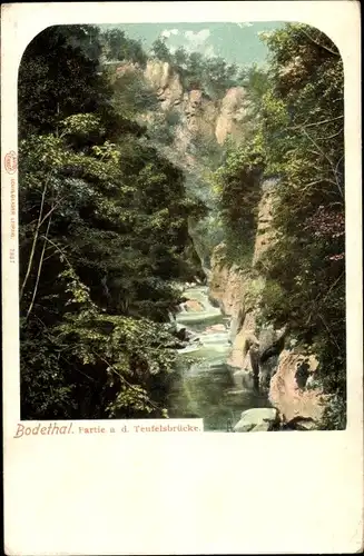 Ak Thale im Harz, Bodetal, Partie a. d. Teufelsbrücke