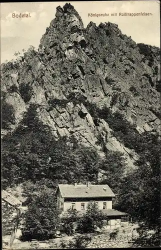 Ak Thale im Harz, Bodetal, Königsruhe mit Roßtrappenfelsen