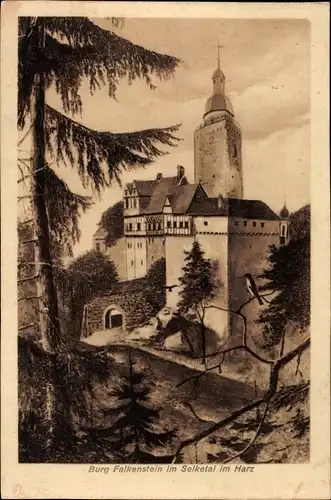 Ak Falkenstein im Harz, Selketal, Burg Falkenstein