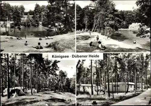 Ak Kemberg in der Dübener Heide, Königsee, Campingplatz, Campinghäuser