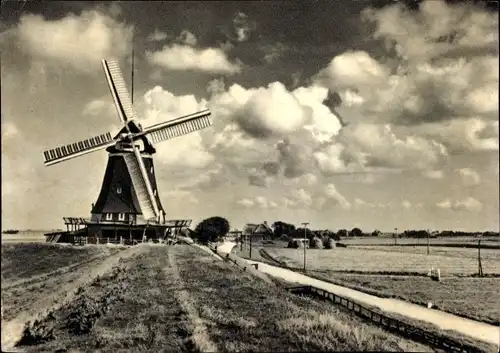 Ak Pellworn in Nordfriesland, Nordermühle