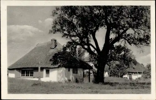 Ak Neuendorf auf der Insel Hiddensee, Wohnhäuser
