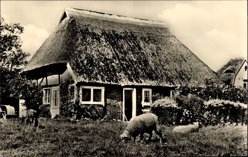 Ak Ostseebad Zingst, Fischerhaus