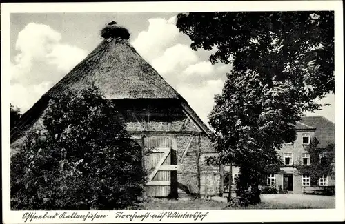 Ak Ostseebad Kellenhusen in Holstein, Storchennest auf Wintershof