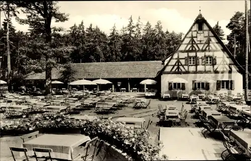 Ak Nürnberg in Mittelfranken, Gaststätte und Cafe Waldschänke,Tiergarten Nürnberg