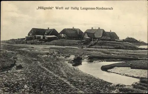 Ak Hilligenlei Hallig Langeneß Nordfriesland, Langeness-Nordmarsch