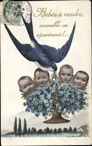 Ak Bebes a vendre, Schwalbe mit Korb voller Babys, Geburt, Fotomontage, Vergissmeinnicht