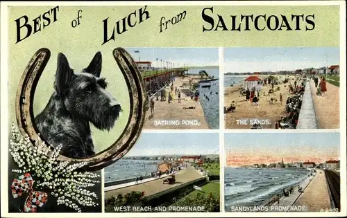 Ak Saltcoats North Ayrshire Schottland, Terrier, Hufeisen, Bathing Pond, West Beach, Promenade