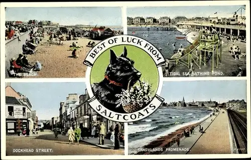 Ak Saltcoats North Ayrshire Schottland, Terrier, Dockhead Street, The Beach, Bathing Pond