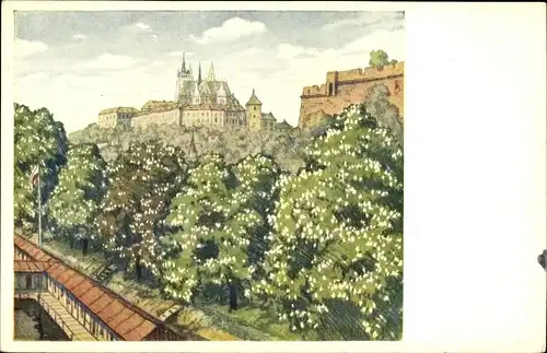 Künstler Ak Simon, T. F., Praha Prag Tschechien, Kastanienbäume, Schloss