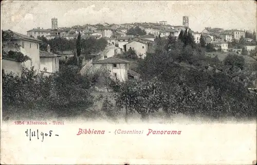 Ak Bibbiena Arezzo Toscana, Panorama