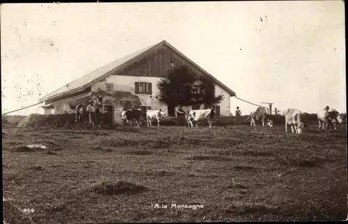 Foto Ak A la Montagne, Wohnhaus, Kühe, Rind