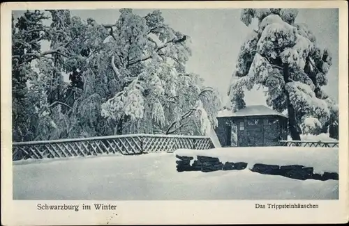Ak Schwarzburg in Thüringen, Das Trippsteinhäuschen, Winter